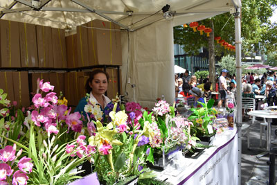 Market Store